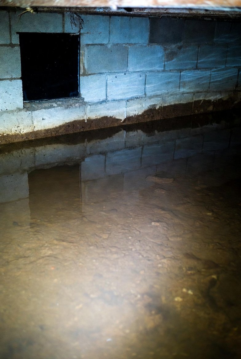 standing water in crawl space cost to fix