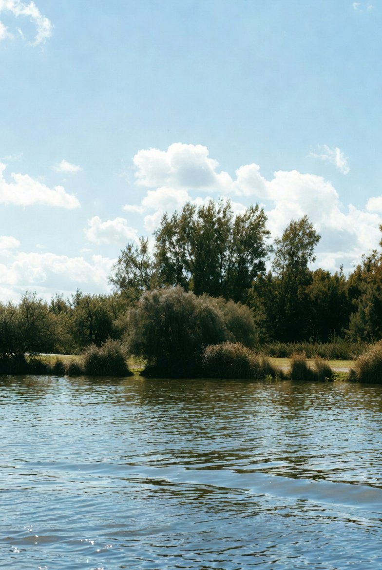 download 2026 02 04t091316.021